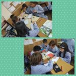 Poryecto sobre vertabrados en 3º de primaria del Colegio Rafaela María de Valladolid.