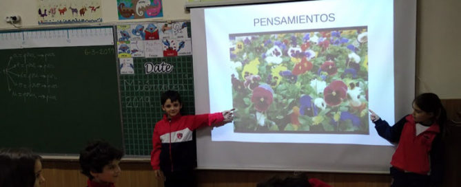 Los alumnos y alumnas de 1º de primaria del Colegio Rafaela María son expertos en plantas.