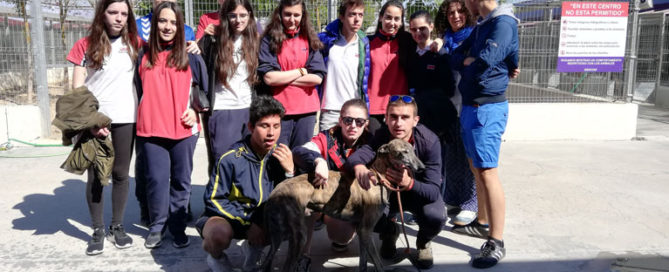 Visita al centro canino de los alumnos de 4º ESO del colegio concertado Rafaela María del centro de Valladolid