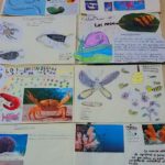 Los alumnos y alumnas de 3º de primaria del Colegio Rafaela María estudian los invertebrados.