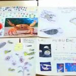Los alumnos y alumnas de 3º de primaria del Colegio Rafaela María estudian los invertebrados.