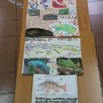 Los alumnos y alumnas de 3º de primaria del Colegio Rafaela María de Valladolid han trabajado los animales vertebrados.