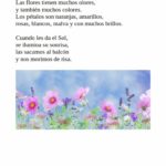 Los niños y niñas de tercero de primaria del Colegio Rafaela María de Valladolid escriben poesías preciosas.
