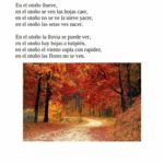 Los niños y niñas de tercero de primaria del Colegio Rafaela María de Valladolid escriben poesías preciosas.