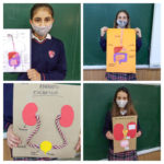 Los alumnos y alumnas de 6º de primaria del Colegio Rafaela María de Valladolid han hecho maquetas de los aparatos que intervienen en la función de nutrición.