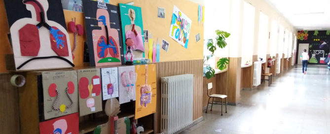 Los alumnos y alumnas de 6º de primaria del Colegio Rafaela María de Valladolid han hecho maquetas de los aparatos que intervienen en la función de nutrición.
