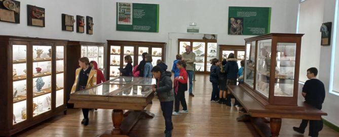 Los alumnos y alumnas de quinto de primaria del colegio Rafaela María de Valladolid visitan el Museo de Ciencias Naturales.