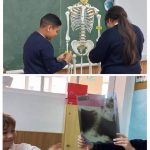 Los alumnos y alumnas de quinto de primaria del Colegio Rafaela María de Valladolid repasan todo lo aprendido sobre el esqueleto.