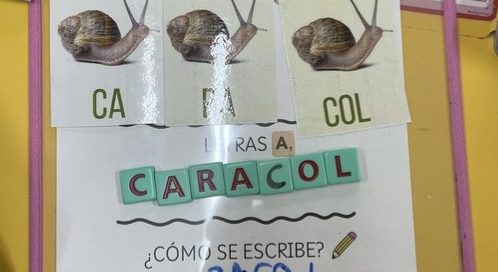 Lectoescritura reconociendo previamente la palabra a partir de una imagen dada y posteriormente descomponiéndola en sílabas, letras y finalmente escribiéndola.